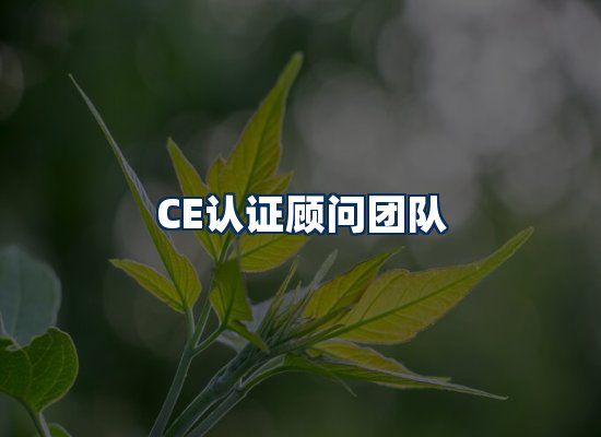 CE认证顾问团队